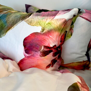 Padjapüür - Votex House OÜ